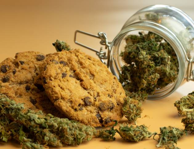 oat-cookie-with-cannabis-buds-medical-marijuana-product-concept-thc-use-healthcare-jar-with-weed@2x oat-cookie-with-cannabis-buds-medical-marijuana-product-concept-thc-use-healthcare-jar-with-weed@2x